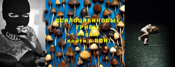 ECSTASY Балахна
