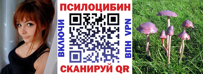 Псилоцибиновые грибы GOLDEN TEACHER  даркнет сайт  Бежецк 